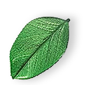 floating_leaf_01 https://worxuryuae.com/wp-content/uploads/2025/07/floating_leaf_01.png